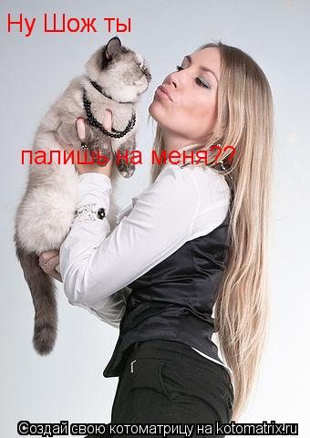 Ну Шож ты палишь на меня??? Ну Шож ты Ну Шож ты палишь на меня??... Котоматрица: Ну Шож ты палишь на меня??? Ну Шож ты Ну Шож ты палишь на меня??