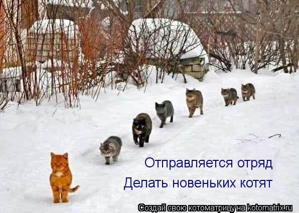 Отправляется отряд Делать новеньких котят... Котоматрица: Отправляется отряд Делать новеньких котят