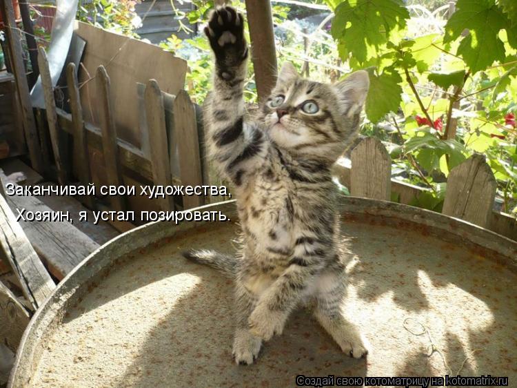 Заканчивай свои художества, Хозяин, я устал позировать.... Котоматрица: Заканчивай свои художества, Хозяин, я устал позировать.