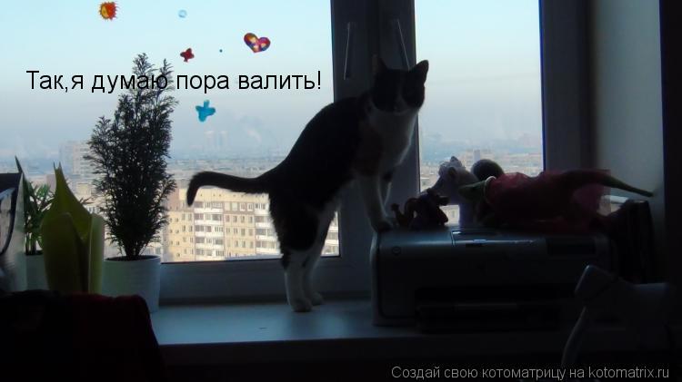Так,я думаю пора валить!... Котоматрица: Так,я думаю пора валить!