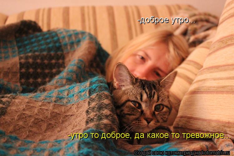 -доброе утро... -утро то доброе, да какое то тревожное...... Котоматрица: -доброе утро... -утро то доброе, да какое то тревожное...