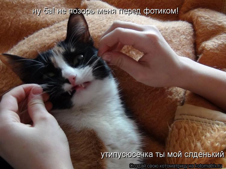 утипусюсечка ты мой слденький ну ба! не позорь меня перед фотиком!... Котоматрица: утипусюсечка ты мой слденький ну ба! не позорь меня перед фотиком!