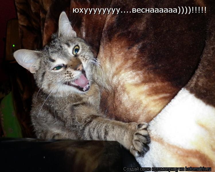 юхуууууууу)))) юхуууууууу....веснаааааа))))!!!!!... Котоматрица: юхуууууууу)))) юхуууууууу....веснаааааа))))!!!!!
