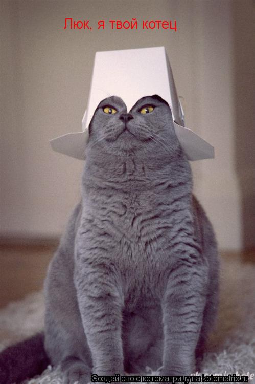 Люк, я твой котец... Котоматрица: Люк, я твой котец