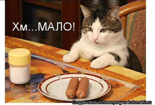 Хм...МАЛО!... Котоматрица: Хм...МАЛО!