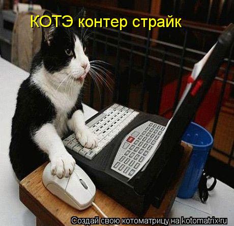 КОТЭ контер страйк... Котоматрица: КОТЭ контер страйк