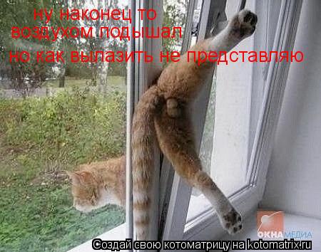 ну наконец то воздухом подышал но как вылазить не представляю... Котоматрица: ну наконец то воздухом подышал но как вылазить не представляю