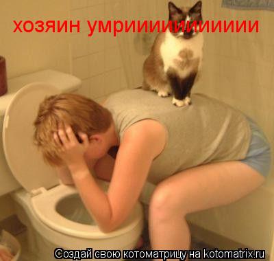 хозяин умриииииииииии... Котоматрица: хозяин умриииииииииии