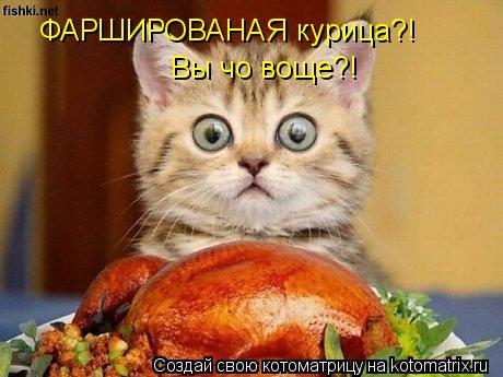 Котоматрица: ФАРШИРОВАНАЯ курица?! Вы чо воще?!