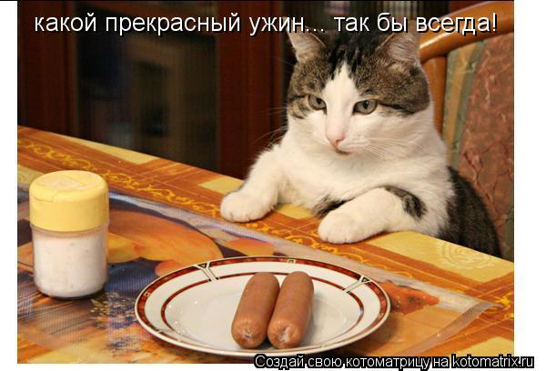 какой прекрасный ужин... так бы всегда!... Котоматрица: какой прекрасный ужин... так бы всегда!