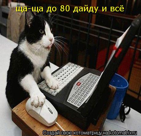 ща-ща до 80 дайду и всё... Котоматрица: ща-ща до 80 дайду и всё
