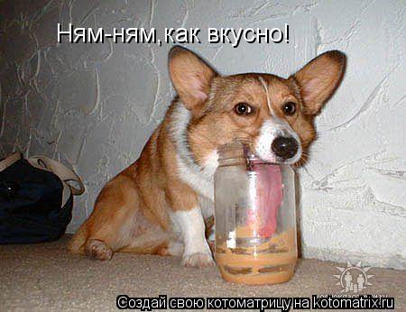 Ням-ням,как вкусно!... Котоматрица: Ням-ням,как вкусно!