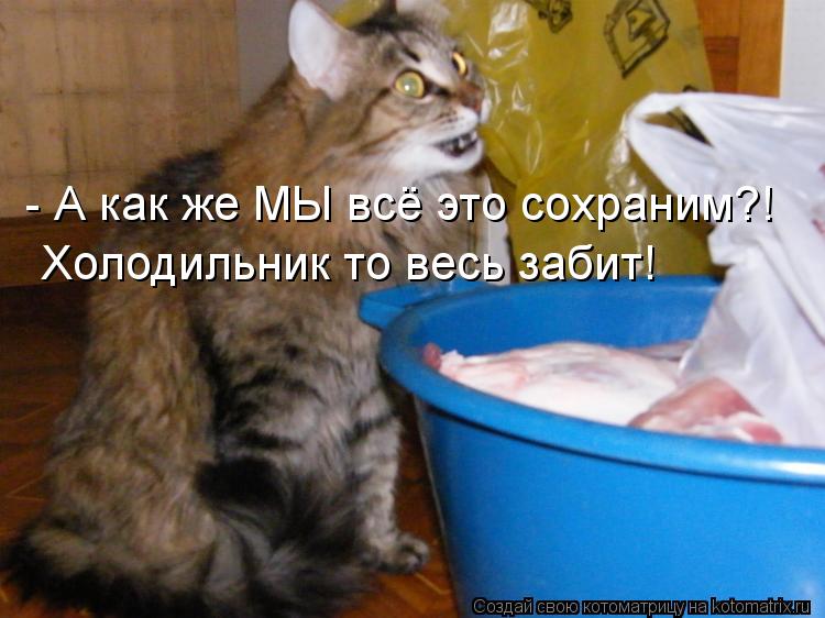 - А как же МЫ всё это сохраним?! Холодильник то весь забит!... Котоматрица: - А как же МЫ всё это сохраним?! Холодильник то весь забит!