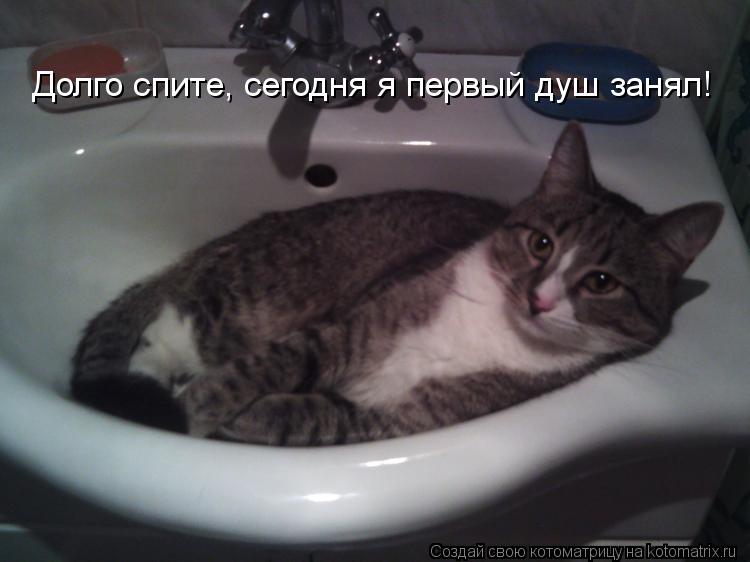 Долго спите, сегодня я первый душ занял!... Котоматрица: Долго спите, сегодня я первый душ занял!