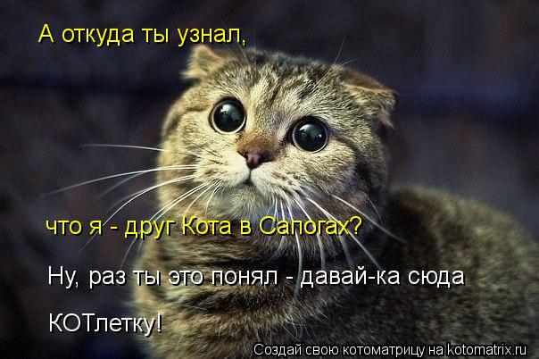 А откуда ты узнал, что я - друг Кота в Сапогах? Ну, раз ты это понял - давай-ка сюда КОТлетку!... Котоматрица: А откуда ты узнал, что я - друг Кота в Сапогах? Ну, раз ты это понял - давай-ка сюда КОТлетку!