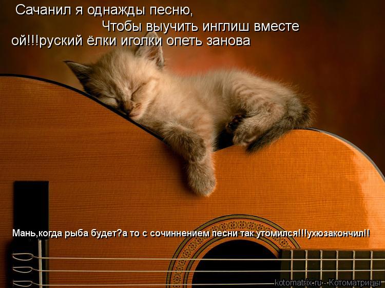 Котоматрица: Сачанил я однажды песню, Чтобы выучить инглиш вместе ой!!!руский ёлки иголки опеть занова Мань,когда рыба будет?а то с сочиннением песни так 