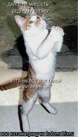 Котоматрица: ДАЙТЕ НА МИЛОСТЬ БЕДНОМУ КОТИКУ ХОТЯ-БЫ ВОТ ВОТ ТАКОЙ  мИЛИОНЧИК