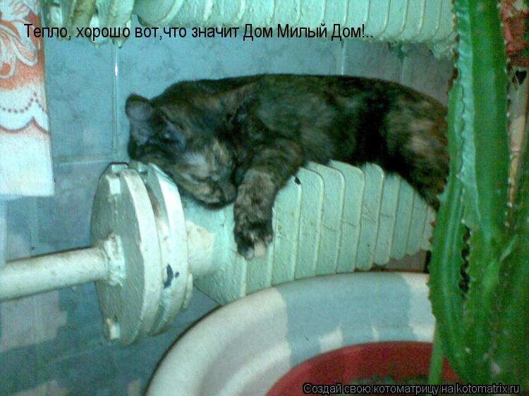 Тепло, хорошо вот,что значит Дом Милый Дом!..... Котоматрица: Тепло, хорошо вот,что значит Дом Милый Дом!..