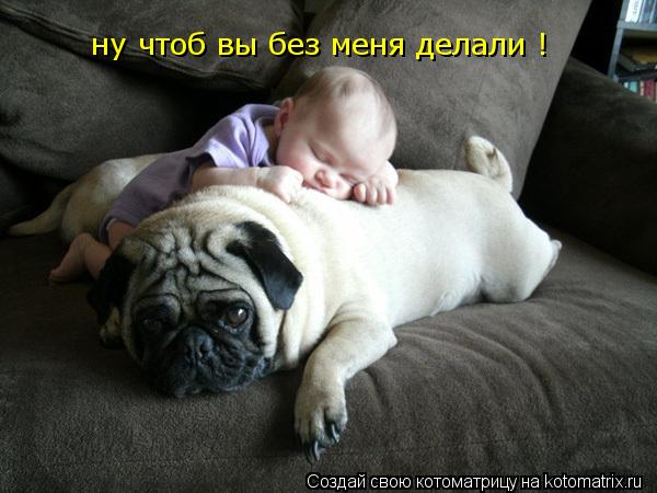 Бобик зделай то Бобик зделай ето ну наймите себе домохозяйку ! Надоело быть нянькой ну чтоб вы без ме... Котоматрица: Бобик зделай то Бобик зделай ето ну наймите себе домохозяйку ! Надоело быть нянькой ну чтоб вы без меня делали !