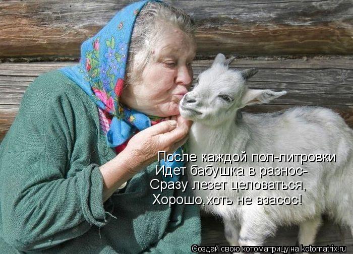 После каждой пол-литровки Идет бабушка в разнос- Сразу лезет целоваться, Хорошо,хоть не взасос!... Котоматрица: После каждой пол-литровки Идет бабушка в разнос- Сразу лезет целоваться, Хорошо,хоть не взасос!