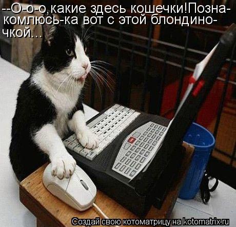 --О-о-о,какие здесь кошечки!Позна- комлюсь-ка вот с этой блондино- чкой...... Котоматрица: --О-о-о,какие здесь кошечки!Позна- комлюсь-ка вот с этой блондино- чкой...