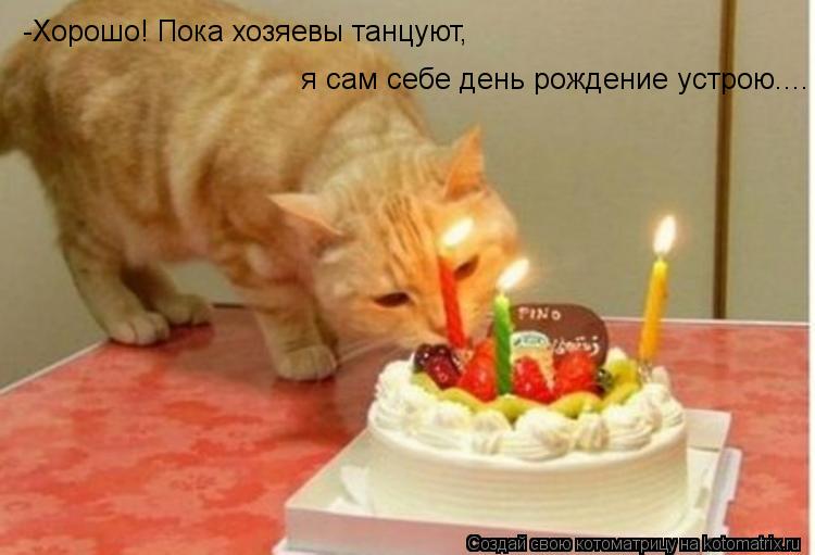 -Хорошо! Пока хозяевы танцуют, я сам себе день рождение устрою....... Котоматрица: -Хорошо! Пока хозяевы танцуют, я сам себе день рождение устрою....