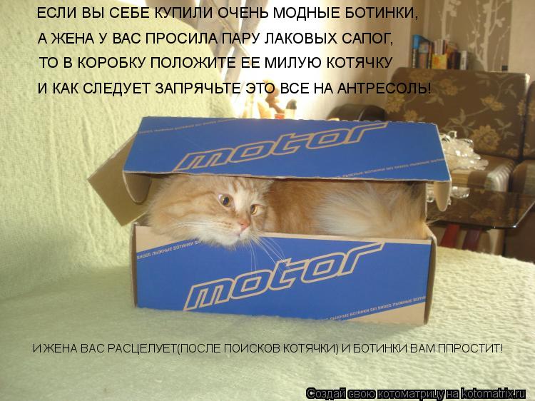 ЕСЛИ ВЫ СЕБЕ КУПИЛИ ОЧЕНЬ МОДНЫЕ БОТИНКИ, А ЖЕНА У ВАС ПРОСИЛА ПАРУ ЛАКОВЫХ САПОГ, ТО В КОРОБКУ ПОЛОЖ... Котоматрица: ЕСЛИ ВЫ СЕБЕ КУПИЛИ ОЧЕНЬ МОДНЫЕ БОТИНКИ, А ЖЕНА У ВАС ПРОСИЛА ПАРУ ЛАКОВЫХ САПОГ, ТО В КОРОБКУ ПОЛОЖИТЕ ЕЕ МИЛУЮ КОТЯЧКУ И КАК СЛЕДУЕТ ЗАПРЯ