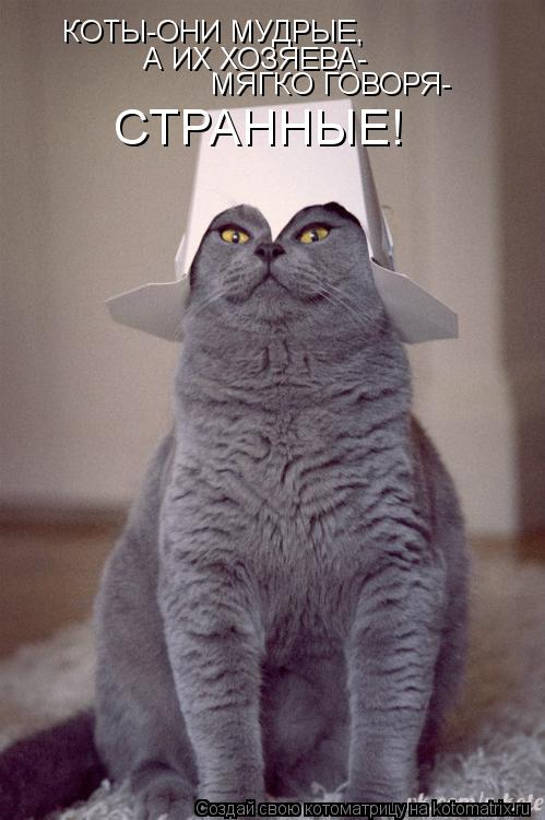 КОТЫ-ОНИ МУДРЫЕ, А ИХ ХОЗЯЕВА- МЯГКО ГОВОРЯ- СТРАННЫЕ!... Котоматрица: КОТЫ-ОНИ МУДРЫЕ, А ИХ ХОЗЯЕВА- МЯГКО ГОВОРЯ- СТРАННЫЕ!