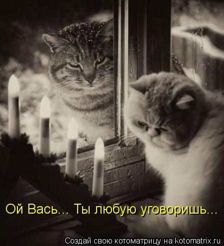 Ой Вась... Ты любую уговоришь...... Котоматрица: Ой Вась... Ты любую уговоришь...