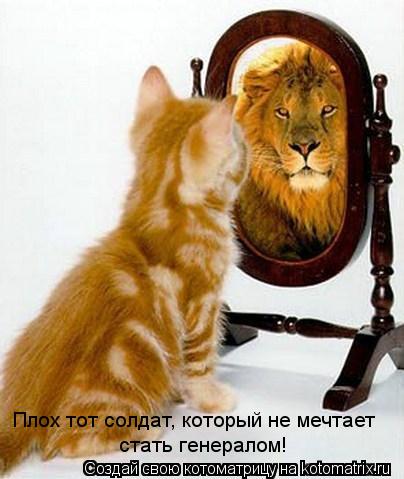 Плох тот солдат, который не мечтает стать генералом!... Котоматрица: Плох тот солдат, который не мечтает стать генералом!