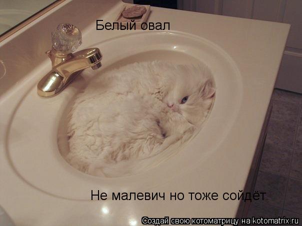 Белый овал Не малевич но тоже сойдёт... Котоматрица: Белый овал Не малевич но тоже сойдёт