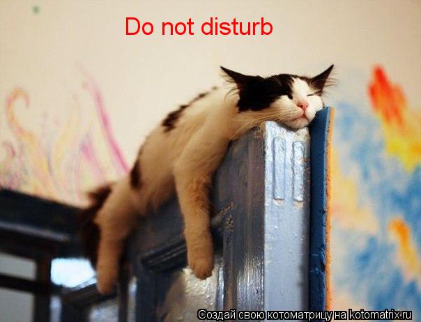 Do not disturb... Котоматрица: Do not disturb