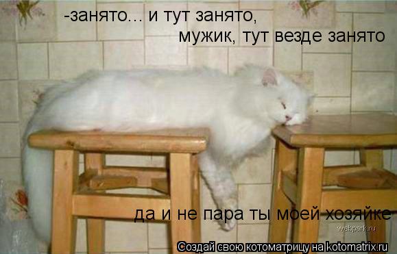-занято... и тут занято, мужик, тут везде занято да и не пара ты моей хозяйке... Котоматрица: -занято... и тут занято, мужик, тут везде занято да и не пара ты моей хозяйке