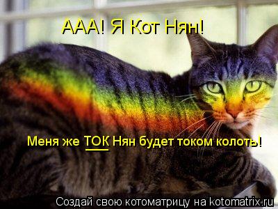 ААА! Я Кот Нян! Меня же ТОК Нян будет током колоть! ___... Котоматрица: ААА! Я Кот Нян! Меня же ТОК Нян будет током колоть! ___