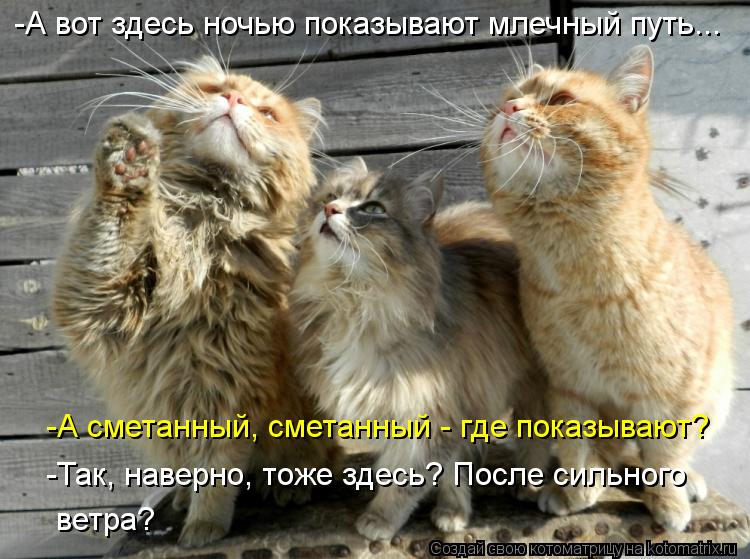 -А вот здесь ночью показывают млечный путь... -А сметанный, сметанный - где показывают? -Так, наверно... Котоматрица: -А вот здесь ночью показывают млечный путь... -А сметанный, сметанный - где показывают? -Так, наверно, тоже здесь? После сильного ветра?
