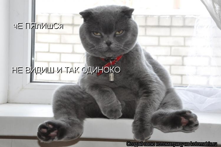 чЕ ПЯлИшСя НЕ ВИДИШ И ТАК ОДИНОКО... Котоматрица: чЕ ПЯлИшСя НЕ ВИДИШ И ТАК ОДИНОКО