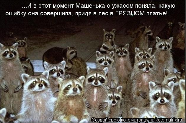 ...И в этот момент Машенька с ужасом поняла, какую ошибку она совершила, придя в лес в ГРЯЗНОМ платье... Котоматрица: ...И в этот момент Машенька с ужасом поняла, какую ошибку она совершила, придя в лес в ГРЯЗНОМ платье!...