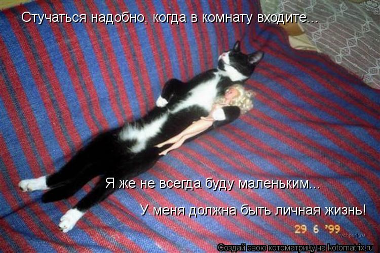 Стучаться надобно, когда в комнату входите... Я же не всегда буду маленьким... У меня должна быть лич... Котоматрица: Стучаться надобно, когда в комнату входите... Я же не всегда буду маленьким... У меня должна быть личная жизнь!