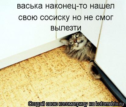 васька наконец-то нашел свою сосиску но не смог вылезти... Котоматрица: васька наконец-то нашел свою сосиску но не смог вылезти