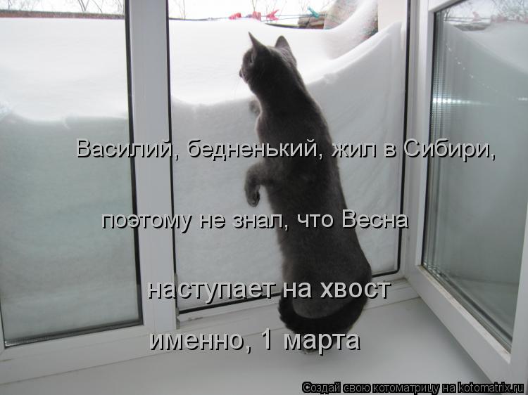 Василий, бедненький, жил в Сибири, поэтому не знал, что Весна наступает на хвост именно, 1 марта... Котоматрица: Василий, бедненький, жил в Сибири, поэтому не знал, что Весна наступает на хвост именно, 1 марта