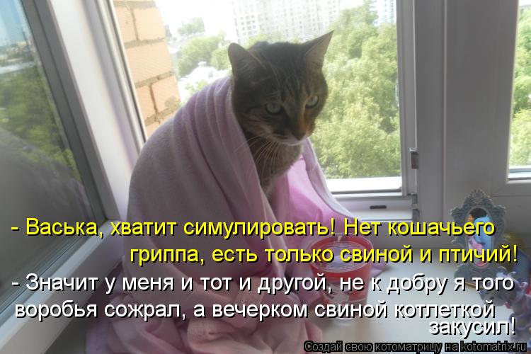Котоматрица: - Васька, хватит симулировать! Нет кошачьего гриппа, есть только свиной и птичий! - Значит у меня и тот и другой, не к добру я того воробья сожр