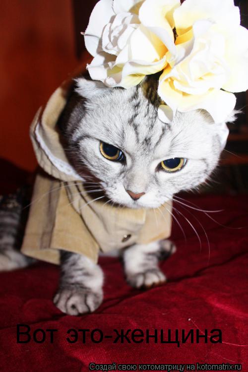 Вот это-женщина... Котоматрица: Вот это-женщина