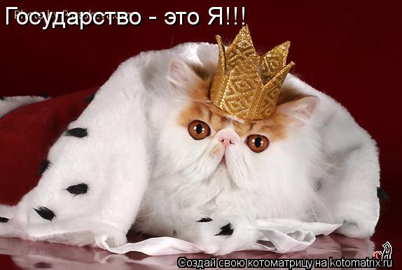 Государство - это Я!!!... Котоматрица: Государство - это Я!!!