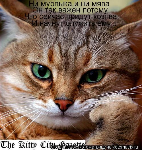 Ни мурлыка и ни мява Он так важен потому, Что сейчас придут хозява, И начнут служить ему...... Котоматрица: Ни мурлыка и ни мява Он так важен потому, Что сейчас придут хозява, И начнут служить ему...