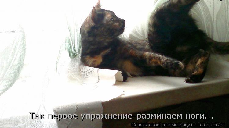 Так первое упражнение-разминаем ноги...... Котоматрица: Так первое упражнение-разминаем ноги...