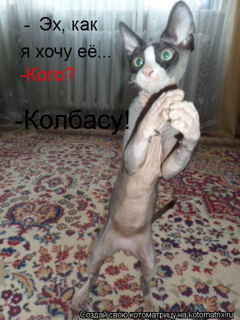 Котоматрица: Эх, как я хочу её... - -Кого? -Колбасу!