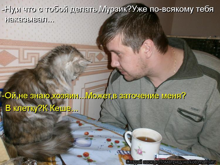 -Ну,и что с тобой делать,Мурзик?Уже по-всякому тебя наказывал... -Ой,не знаю,хозяин...Может,в заточен... Котоматрица: -Ну,и что с тобой делать,Мурзик?Уже по-всякому тебя наказывал... -Ой,не знаю,хозяин...Может,в заточение меня? В клетку?К Кеше...