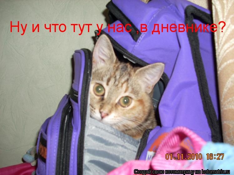 Котоматрица: Ну и что тут у нас ,в дневнике?