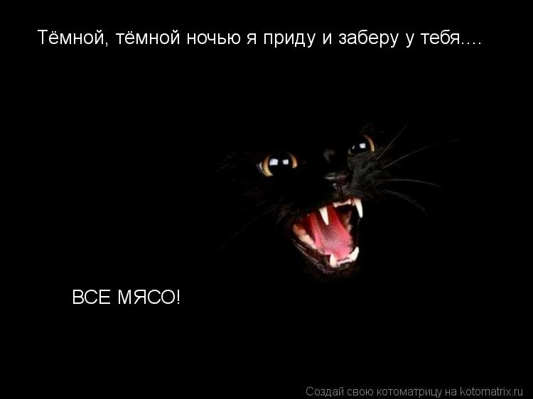 Тёмной, тёмной ночью я приду и заберу у тебя.... ВСЕ МЯСО!... Котоматрица: Тёмной, тёмной ночью я приду и заберу у тебя.... ВСЕ МЯСО!
