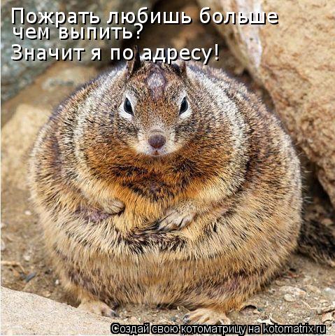 Пожрать любишь больше Значит я по адресу! чем выпить?... Котоматрица: Пожрать любишь больше Значит я по адресу! чем выпить?